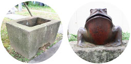 手水鉢（左）と賽銭入れ（右）の写真
